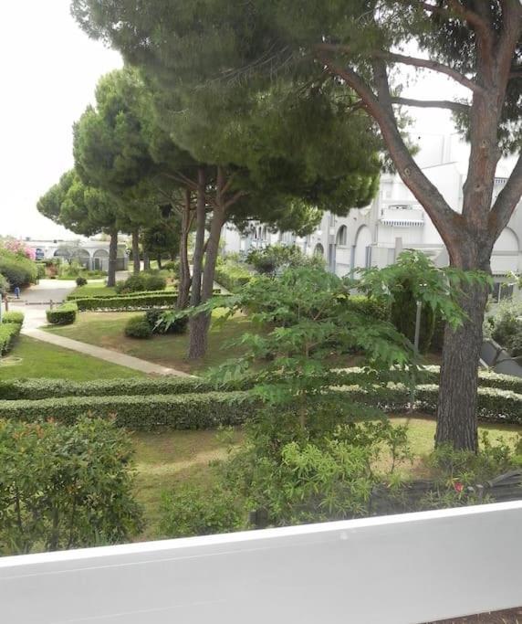 Appartement Magnifique Avec Loggia